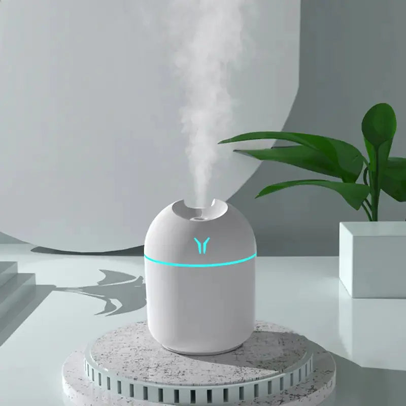 Cute Cool Mist Humidifier with LED Light for Home/Car