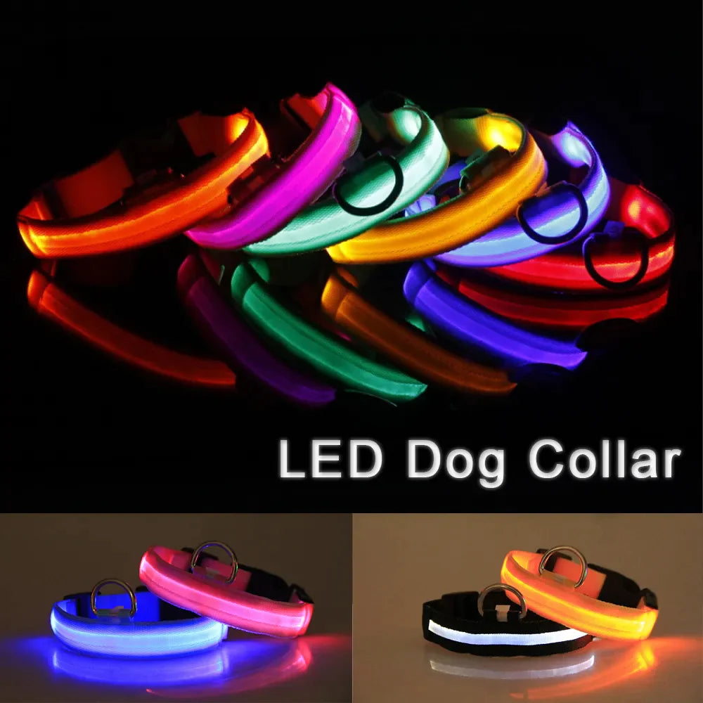 LED Glow Safety Dog Collar