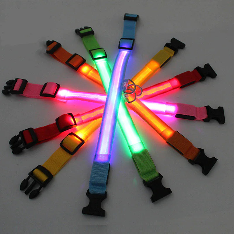 LED Glow Safety Dog Collar