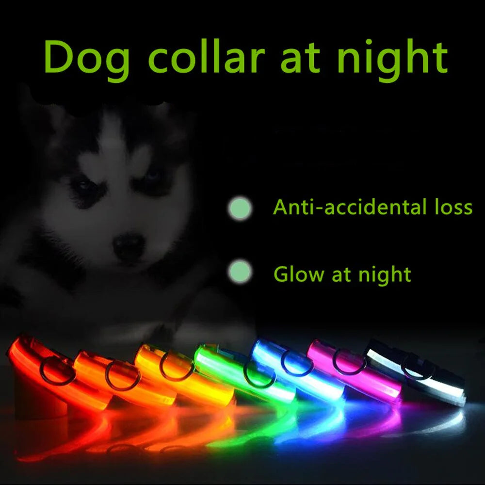 LED Glow Safety Dog Collar