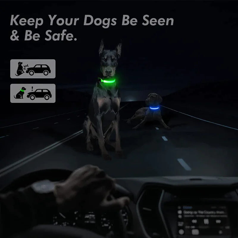 LED Glow Safety Dog Collar
