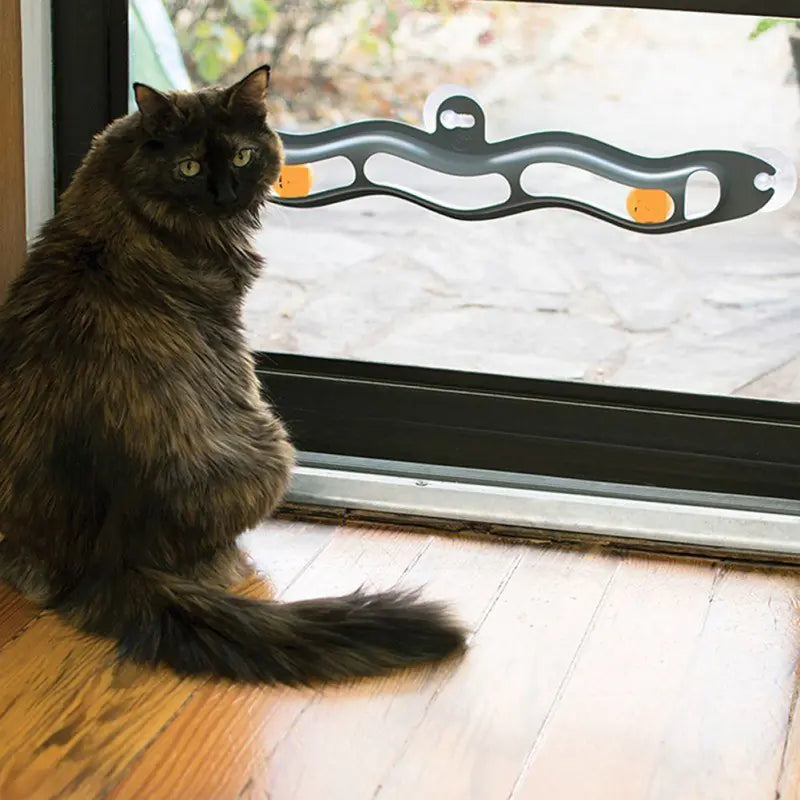 Window Sill Track Ball Cat Toy - Kool Thingz