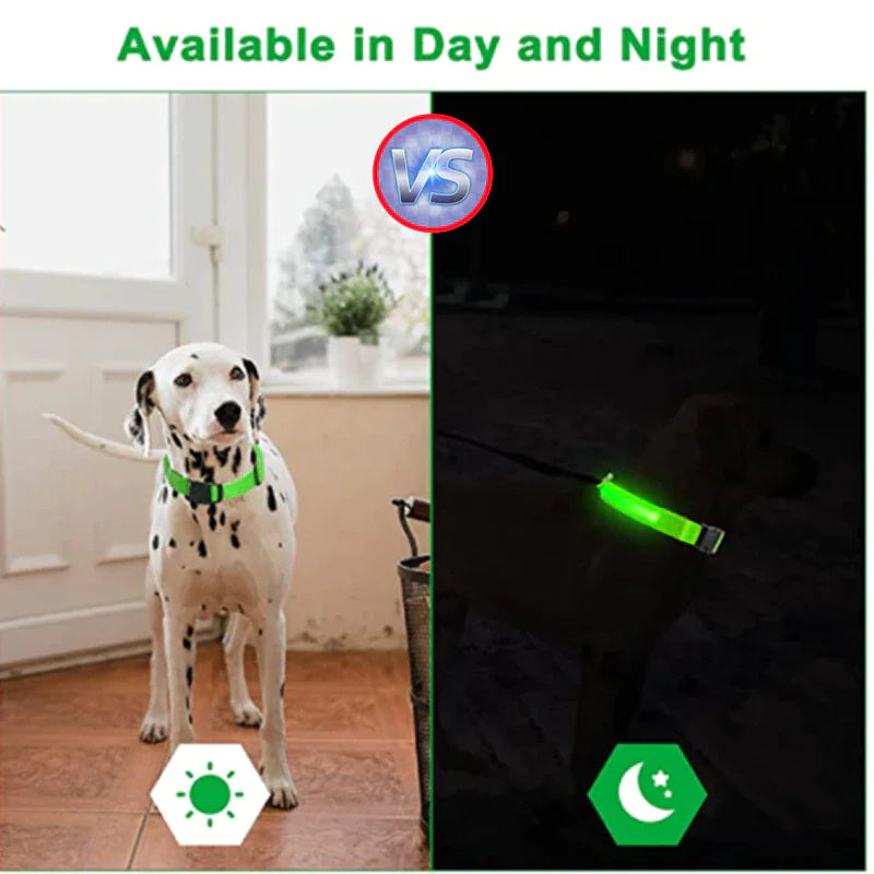 LED Glow Safety Dog Collar