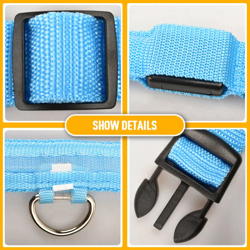 LED Glow Safety Dog Collar