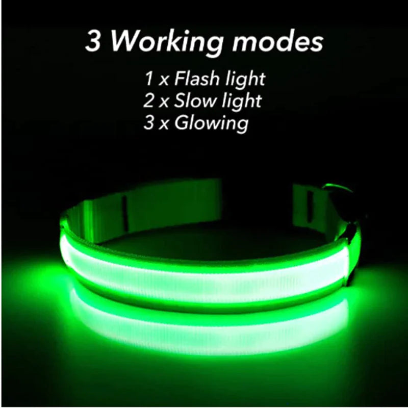 LED Glow Safety Dog Collar