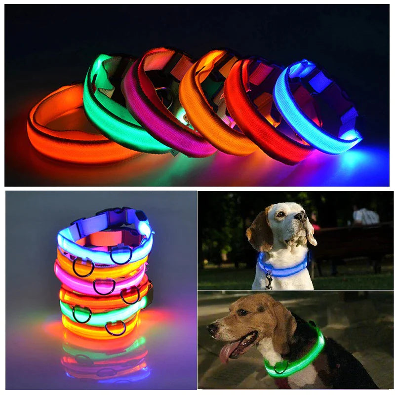 LED Glow Safety Dog Collar