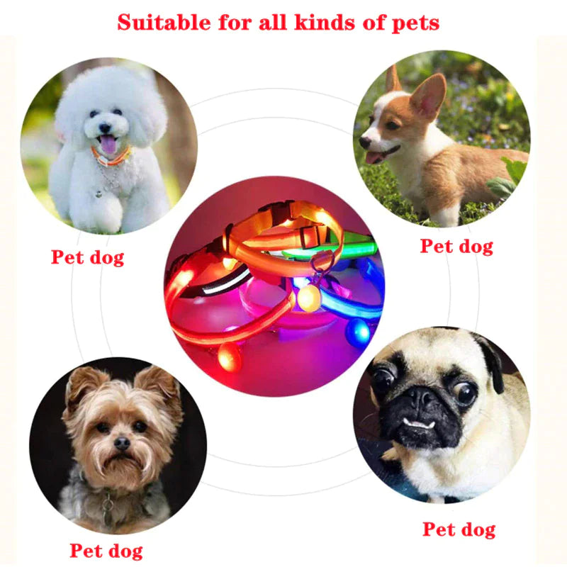 LED Glow Safety Dog Collar