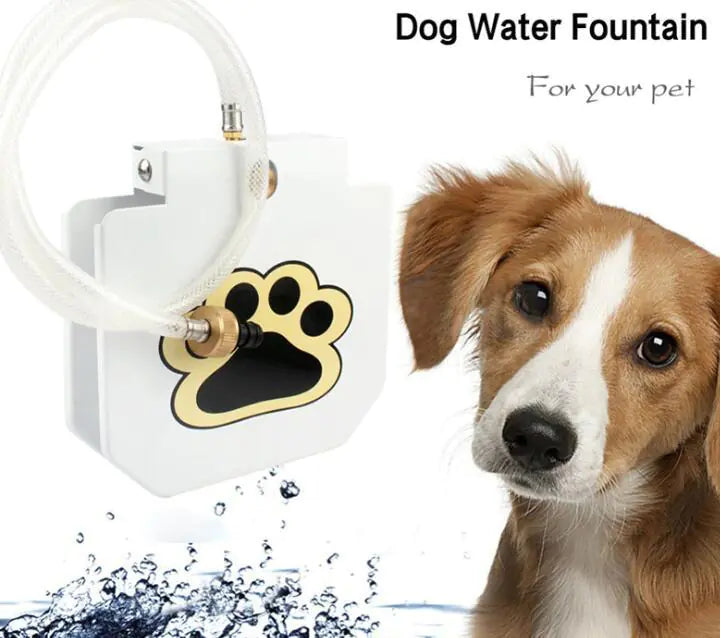 Paw-Activated Dog Water Fountain