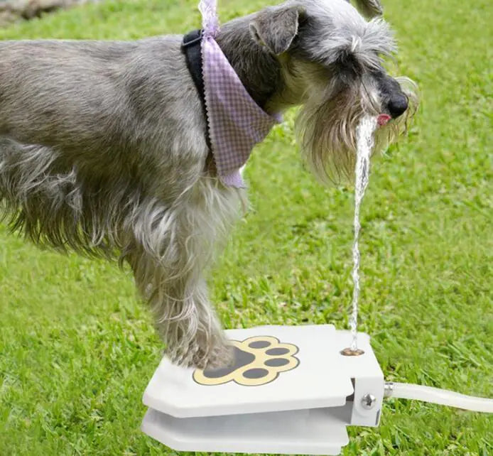 Paw-Activated Dog Water Fountain