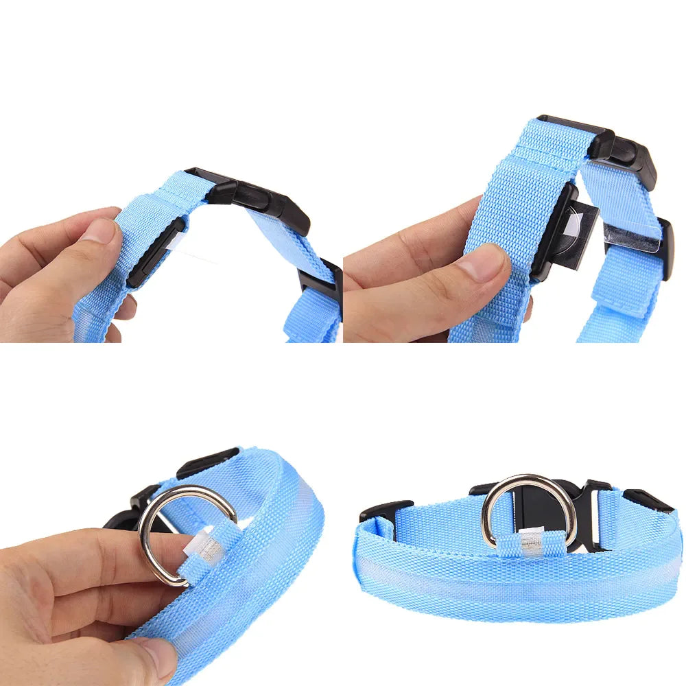 LED Glow Safety Dog Collar