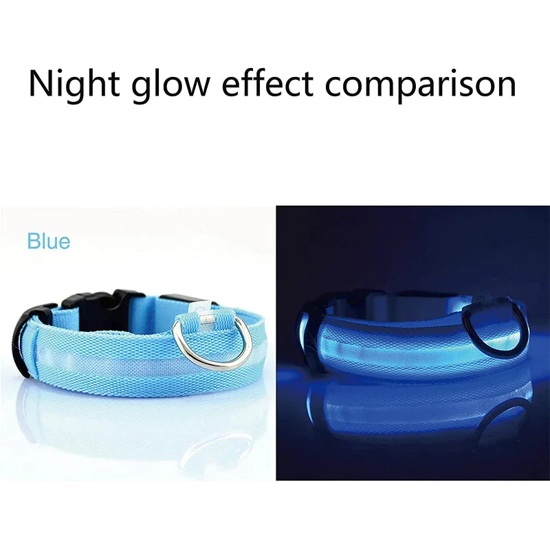 LED Glow Safety Dog Collar