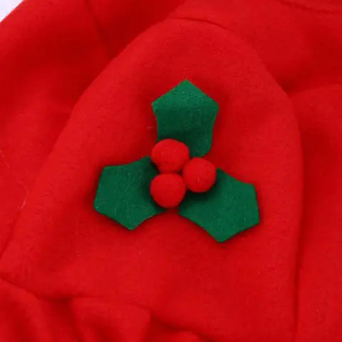 Santa Claus Toilet Seat Cover - Kool Thingz