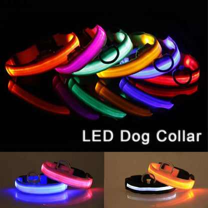 LED Glow Safety Dog Collar