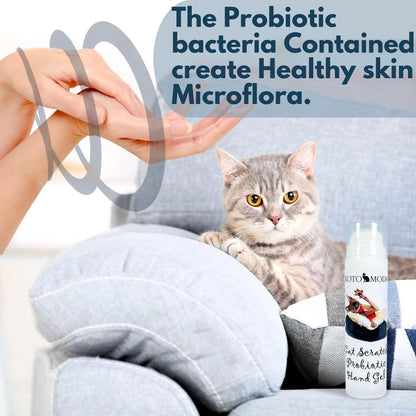 Kitten Care Probiotic Hand Gel 50ml - Kool Thingz