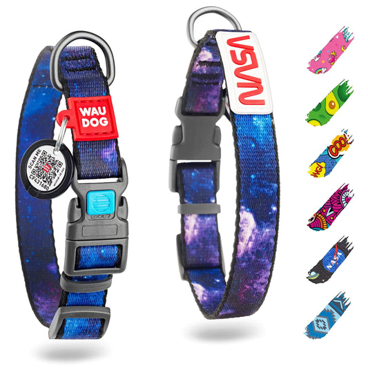 Adjustable Nylon Dog Collar with QR Tag - Kool Thingz