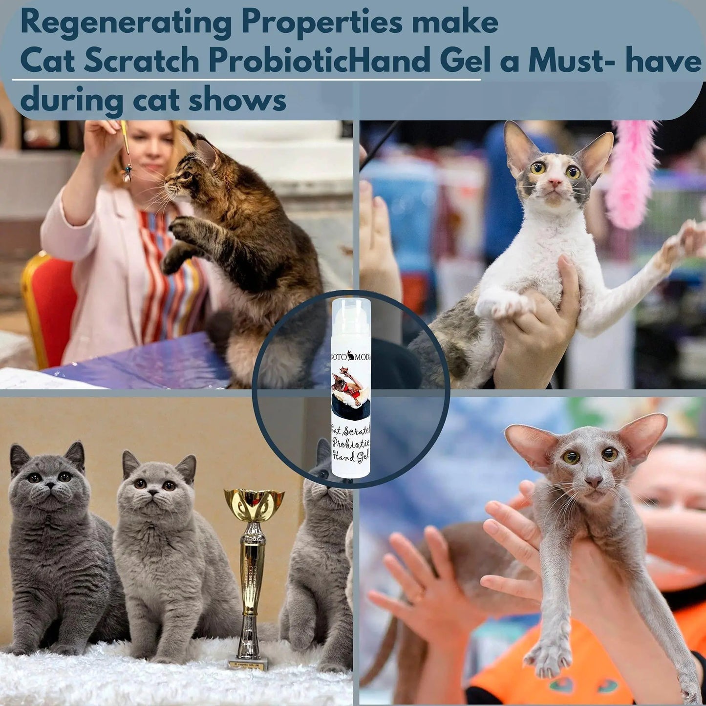 Kitten Care Probiotic Hand Gel 50ml - Kool Thingz