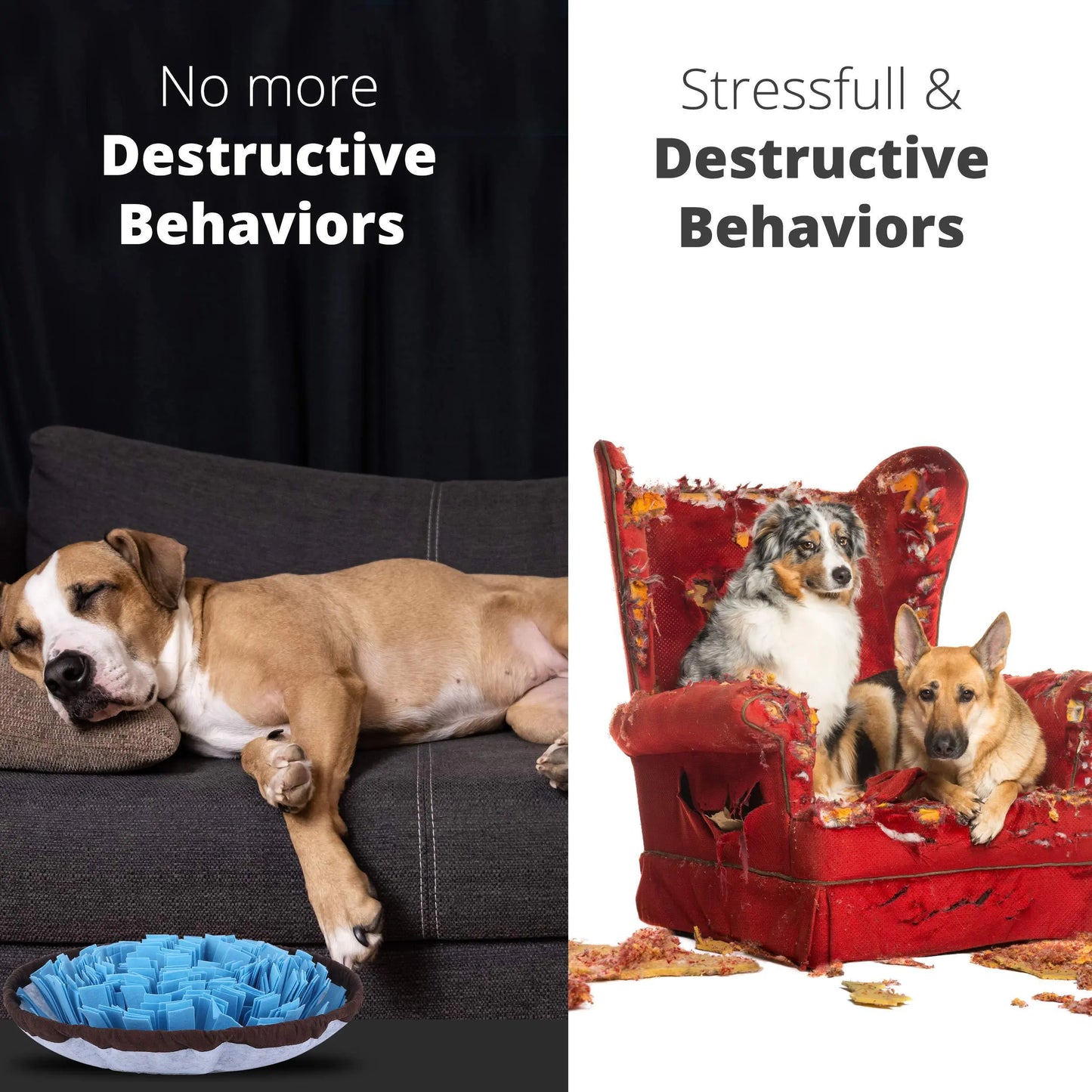 Snuffle Hunt Mat: Dog Puzzle & Stress Relief Toy - Kool Thingz