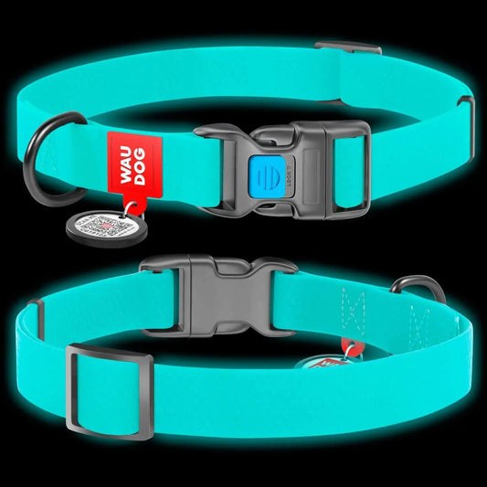 Glow-in-Dark Heavy Duty Dog Collar M - Kool Thingz