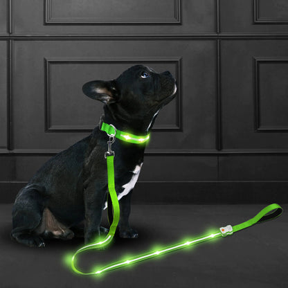 NightGlow LED Dog Leash | Waterproof | Dual Handle | 1000 ft Visibility