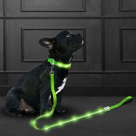 NightGlow LED Dog Leash | Waterproof | Dual Handle | 1000 ft Visibility