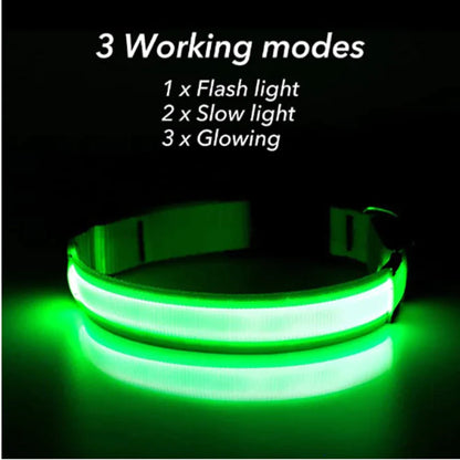 LED Glow Safety Dog Collar