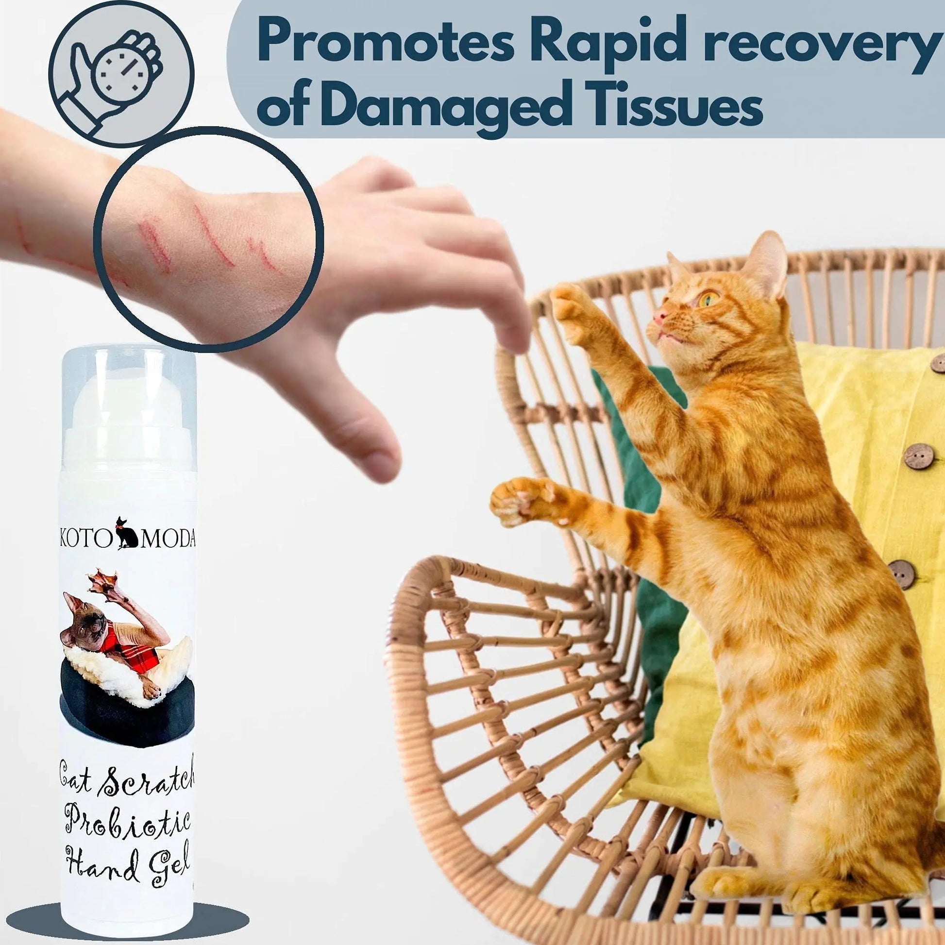 Kitten Care Probiotic Hand Gel 50ml - Kool Thingz